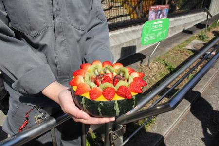 静岡市立 日本平動物園 飼育日誌