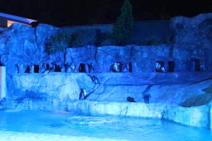 夜の動物園❸ 夜の動物園❸