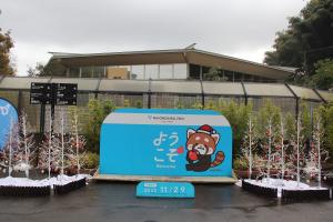 日本平動物園クリスマス装飾 (2)