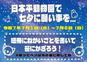 七夕2 七夕2