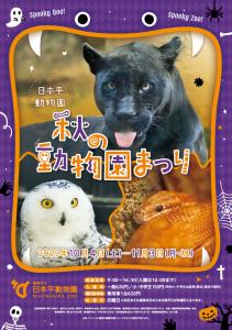 秋の動物園まつり2025チラシ① 秋の動物園まつり2025チラシ①