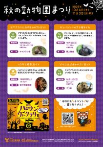 秋の動物園まつり2025チラシ② 秋の動物園まつり2025チラシ②