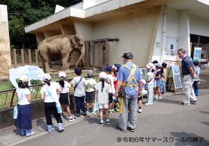令和6年サマースクールの様子 令和6年サマースクールの様子