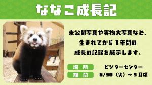 ななこ成長記 ななこ成長記