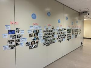 ななこ成長記 展示① ななこ成長記 展示①