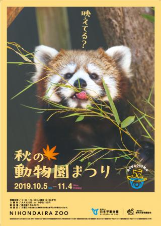 2019秋の動物園まつり開催!!