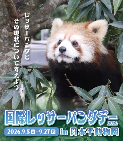 国際レッサーパンダデー2026