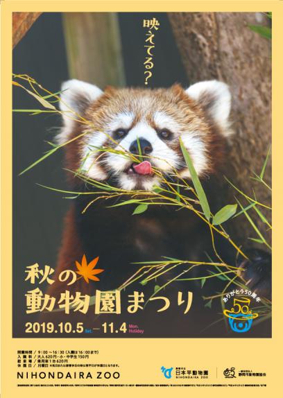 2019秋の動物園まつり開催!! 2019秋の動物園まつり開催!!