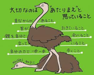 静岡市立 日本平動物園 でっきぶらし News Paper