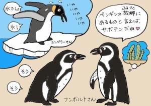 ラブリーフンボルト ペンギン 最高の花の画像