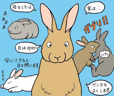 静岡市立 日本平動物園 でっきぶらし News Paper