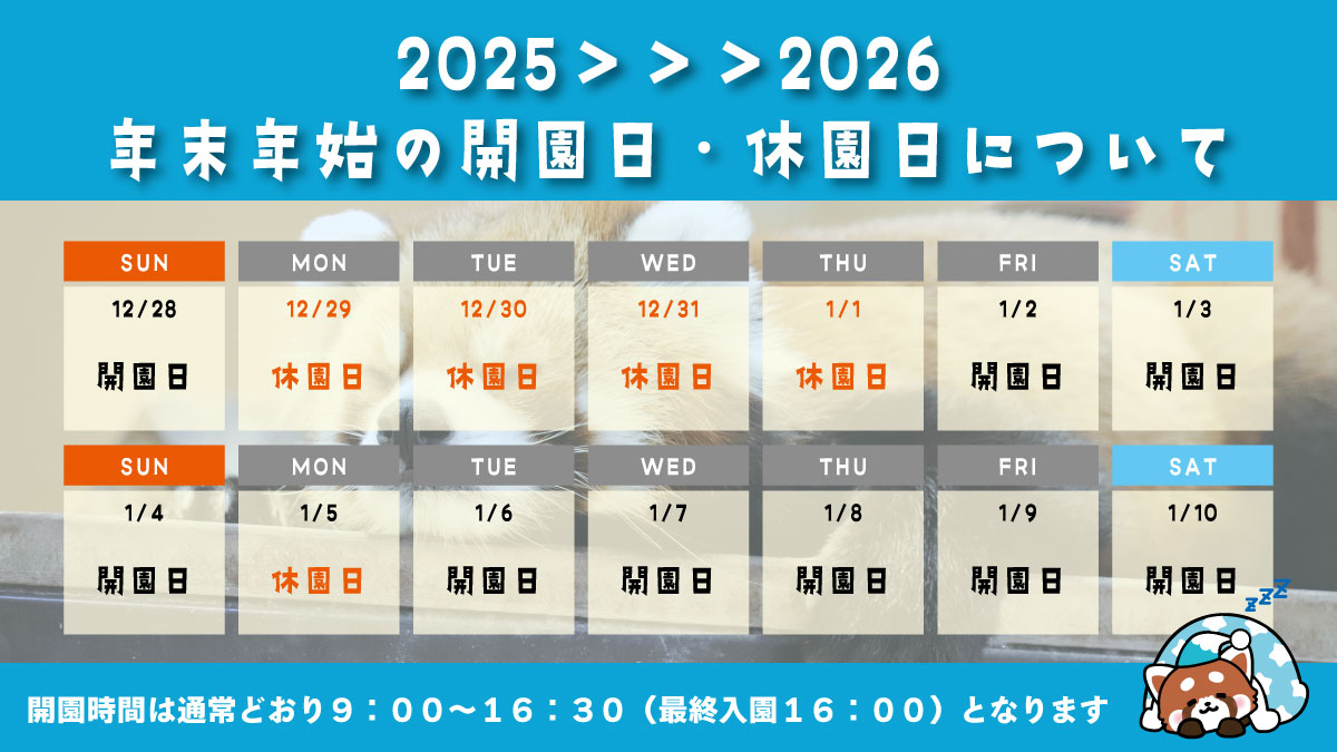 2025-26 年末年始カレンダー