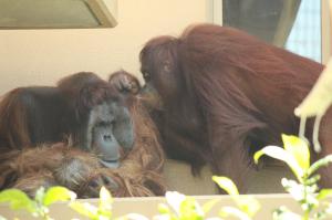 左ジュン、右ミンピー