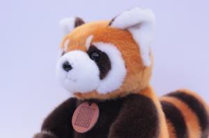 静岡市立 日本平動物園｜お知らせ