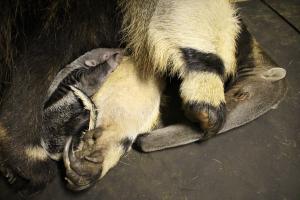 赤ちゃん2 赤ちゃん2