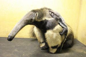 赤ちゃん3 赤ちゃん3