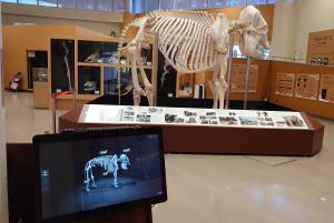 デジタルコンテンツ1