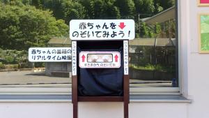 モニター観察 モニター観察