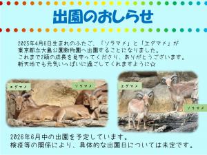 ソラマメ、エダマメ
