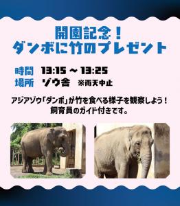 開園記念日4 開園記念日4