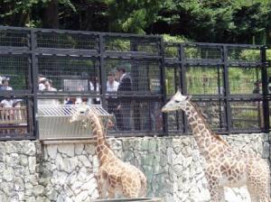 命名式③リオ(左)サクラ(右)