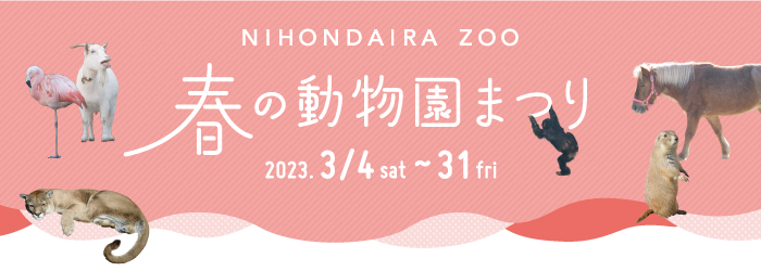 春の動物園まつり
