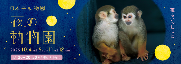 【イベント】「夜の動物園2025」の開催について