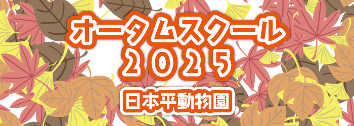 【イベント】令和7年度日本平動物園オータムスクール開校　参加者募集!