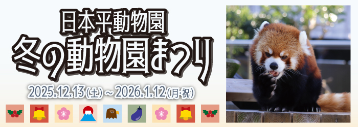 冬の動物園まつり&サルイベント開催!(令和7年12月6日~令和8年1月12日)