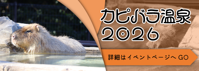 【イベント】カピバラ温泉2026を開催します!