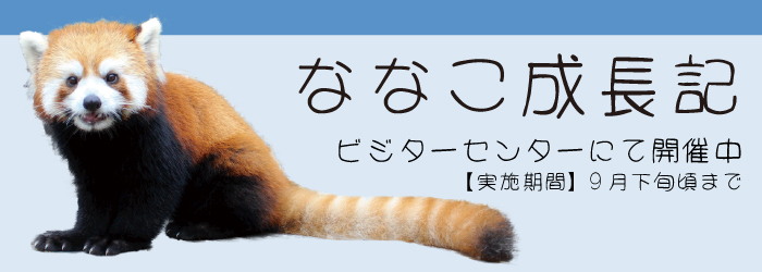 【展示】ななこ成長記