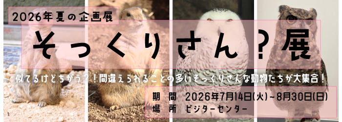 【イベント】そっくりさん?展　～日本平動物園　2026年夏の企画展～