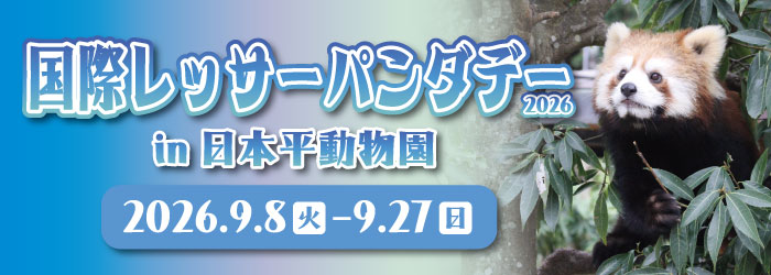 国際レッサーパンダデー2026　(令和8年9月8日～9月27日)