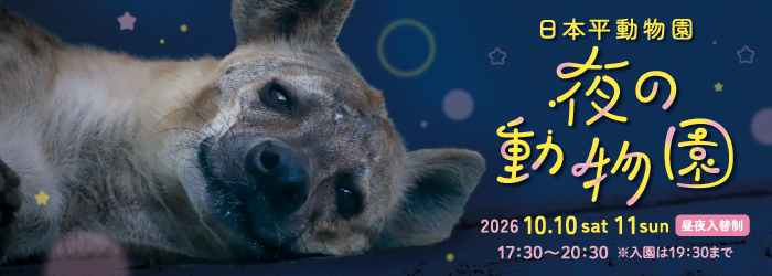 【イベント】夜の動物園の開催(令和8年10月10日、11日)