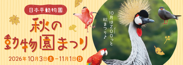 秋の動物園まつり開催!(令和8年10月3日～令和8年11月1日)