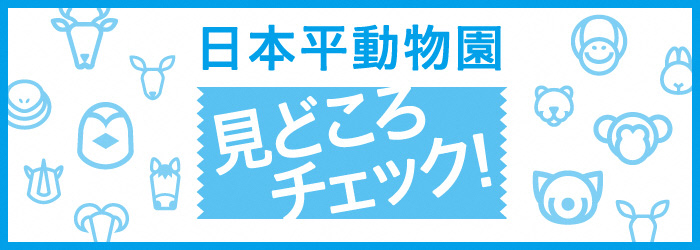 動物園 日本 平