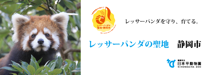レッサーパンダの聖地　静岡市