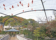 は虫類館