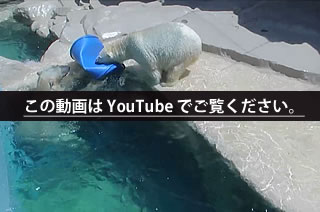 この動画は YouTube でご覧ください。