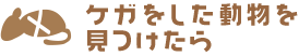 ケガをした動物をみつけたら